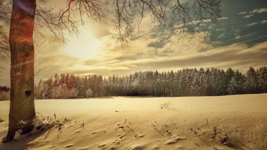 Winter Wonderland: M&auml;rchenhochzeit im Winter - Bild 3