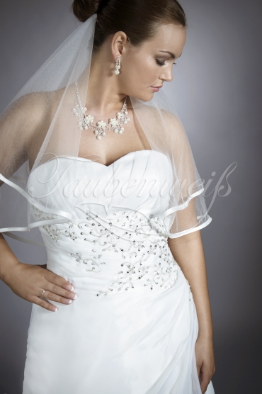 Brautkleid TW0086B - schmale A-Linie Organza silberne Stickerei schlicht 2