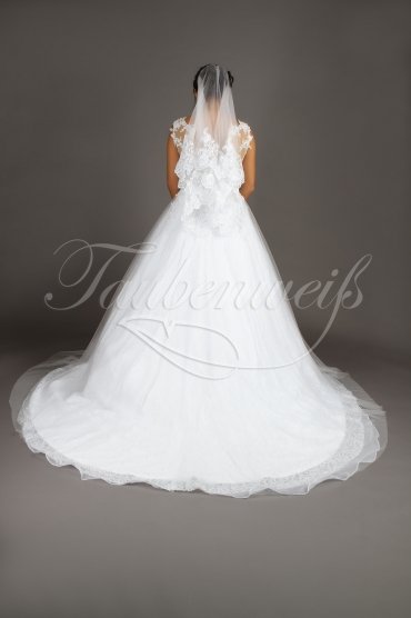Brautkleid TW0143B - braunes Band Tüll Tattoo Spitze Perlen tiefer Ausschnitt Schleppe 4