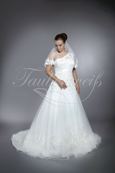 Brautkleid TW0179B - ein Träger A-Linie Tüll Organza Tattoo-Spitze 1